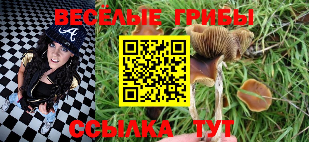 Галлюциногенные грибы MAGIC MUSHROOMS Волгоград