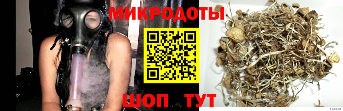 Галлюциногенные грибы прущие грибы  Вход с VPN  Волгоград 